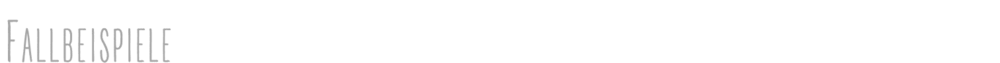Fallbeispiele