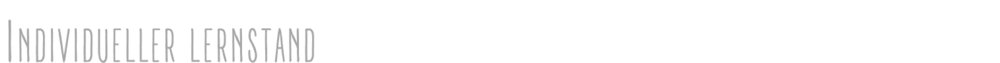 Individueller Lernstand