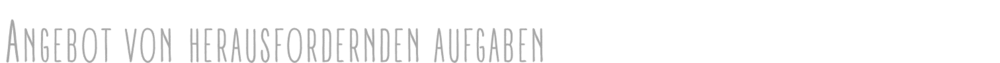 Angebot von herausfordernden Aufgaben